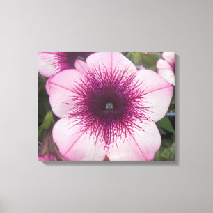 Kisses Canvas Print