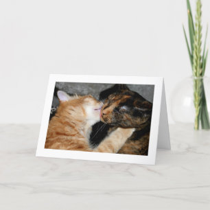 kisses! holiday card