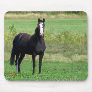 Kisses Mouse Pad