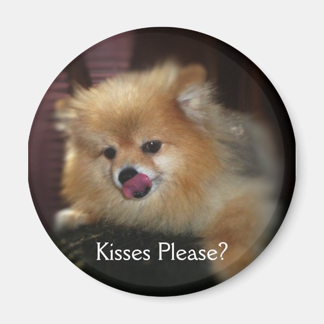 Kisses Please? Magnet (Front)