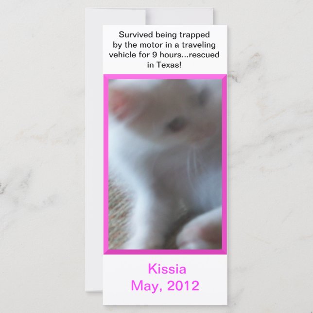 Kissia (Little Girl Kitty) Rack Card or Bookmark (Front)