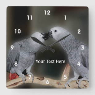 Kissing African Grey Parrots Animal Square Wall Clock