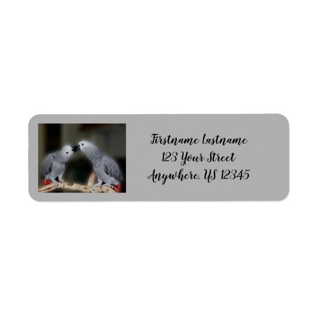 Kissing African Grey Parrots Cute Bird Address (Front)