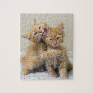 Kissing and Hugging Kittens Jigsaw Puzzle