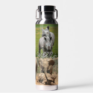 Kissing Birds Hugging Animals Baby Hippo Elephants Water Bottle