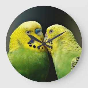 Kissing Budgie Parrot Bird Large Clock