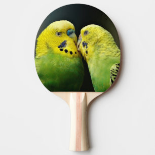 Kissing Budgie Parrot Bird Ping Pong Paddle