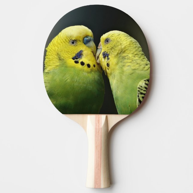 Kissing Budgie Parrot Bird Ping Pong Paddle (Front)