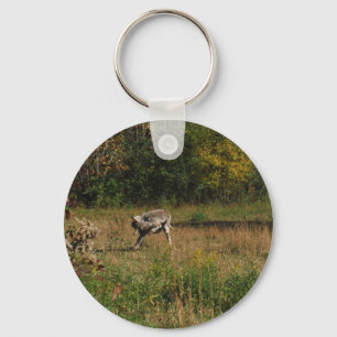 Kissing Butt Donkey Key Ring