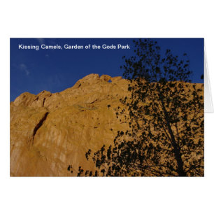 Kissing Camels Card