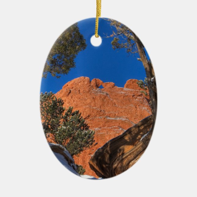 Kissing Camels Framed by Tree 01 Ceramic Tree Decoration (Front)