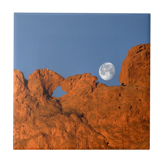 Kissing Camels Rock Formation with Full Moon Tile (Front)