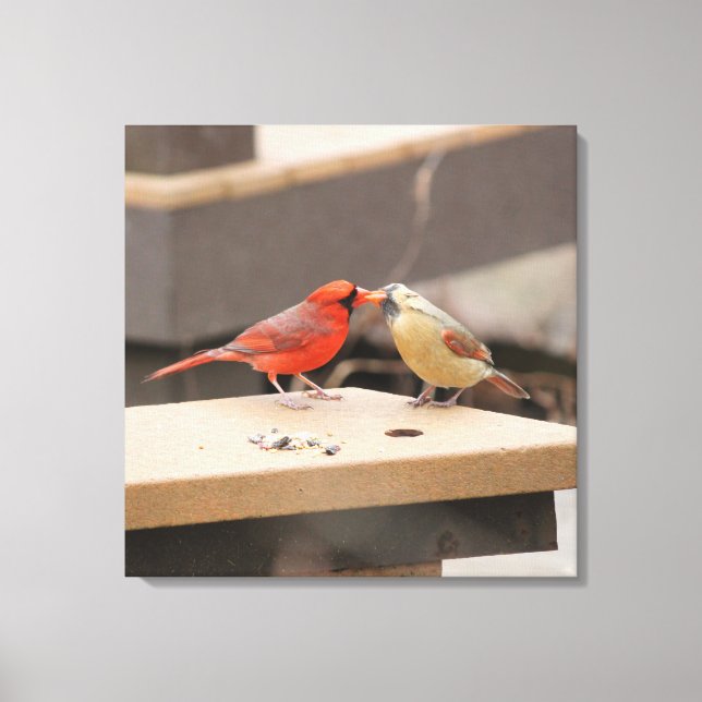 Kissing Cardinals Canvas Print (Front)