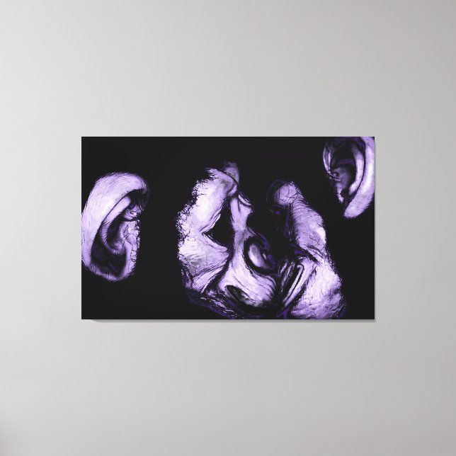 kissing chimpanzees canvas print (Front)