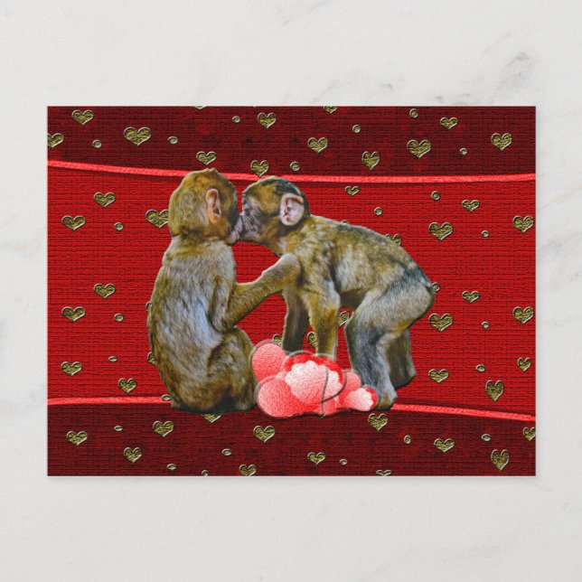 Kissing Chimpanzees Floating Hearts Postcard (Front)
