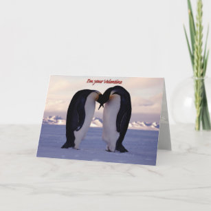 Kissing Emperor Penguin Valentine'... Holiday Card