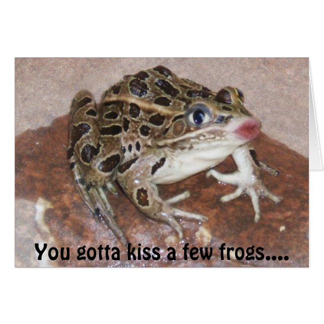 Kissing Frog card (Front Horizontal)