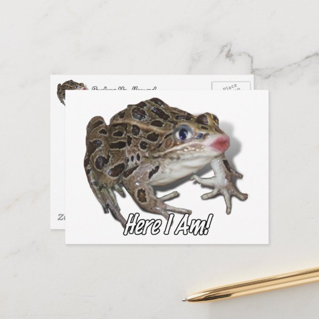 Kissing Frog - Pucker Up, Honey! Postcard (Front/Back In Situ)