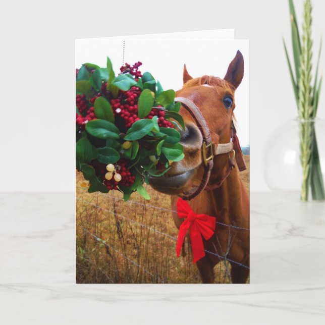 Kissing Horse under Mistletoe Holiday Card (Front)