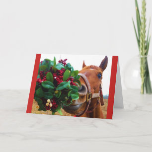 Kissing Horse under Mistletoe Holiday Card
