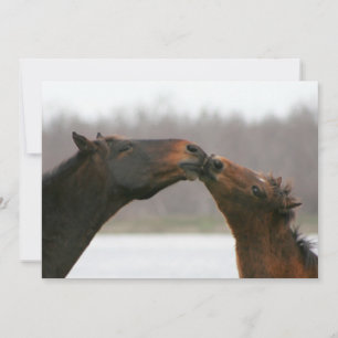 Kissing Horses Blank Card