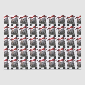 kissing horses Santa Claus Tissue Paper