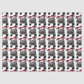 Kissing Horses Santa Claus Tissue Paper
