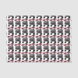 Kissing Horses Santa Claus Tissue Paper