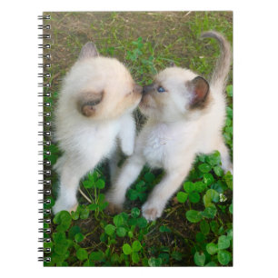 kissing kittens in clover notebook