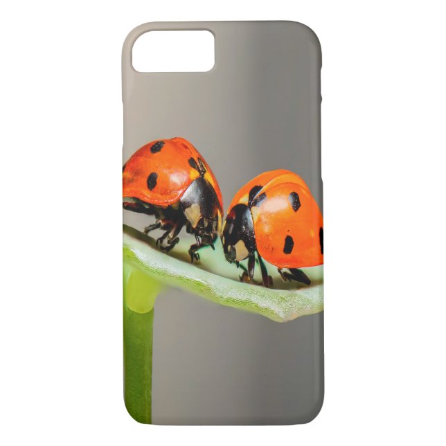 Kissing Ladybugs Case-Mate iPhone Case (Back)