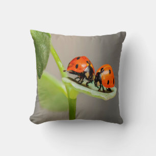Kissing Ladybugs Cushion