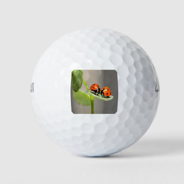 Kissing Ladybugs Golf Balls (Front)