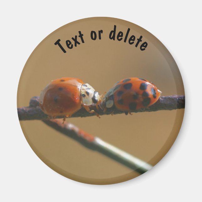 Kissing Ladybugs Nature Personalised Magnet (Front)