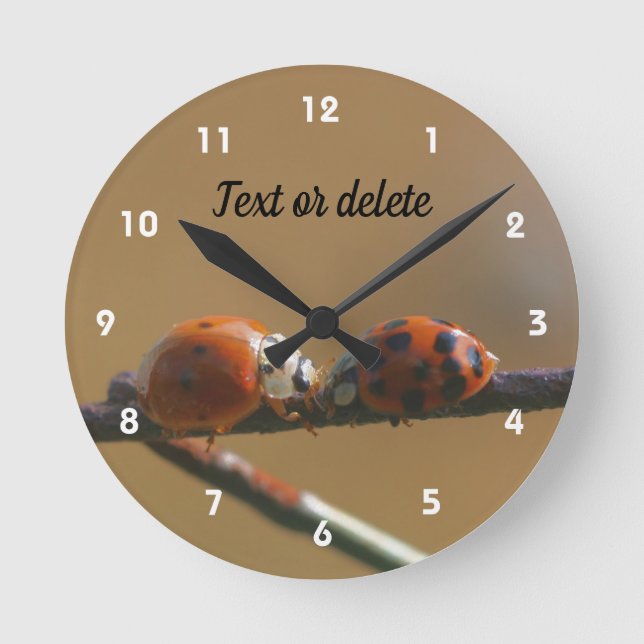 Kissing Ladybugs On A Wire Fence Personalised Round Clock (Front)