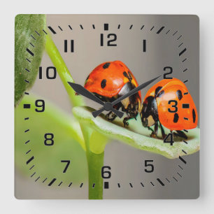 Kissing Ladybugs Square Wall Clock