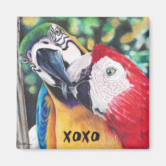 kissing macaws magnet