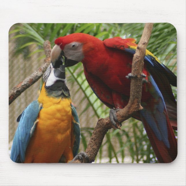 Kissing Macaws Mouse Mat (Front)