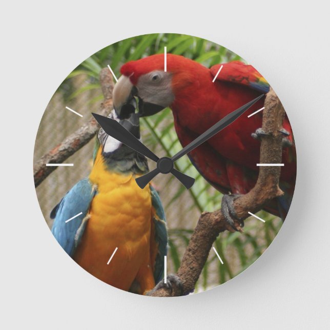 Kissing Macaws Wall Clock (Front)