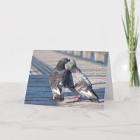 Kissing Pigeons Frameable Art Card