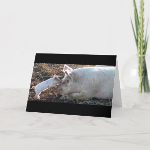 Kissing Piglet Card