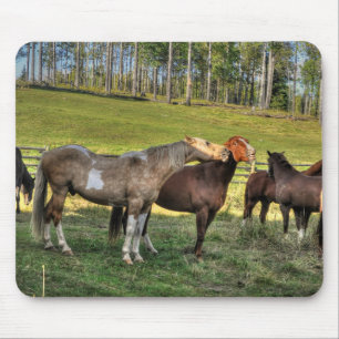 Kissing Pinto Stallion & Sorrel Mare Equine Photo Mouse Mat