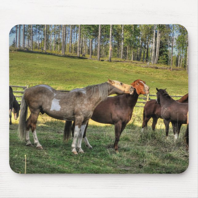 Kissing Pinto Stallion & Sorrel Mare Equine Photo Mouse Mat (Front)