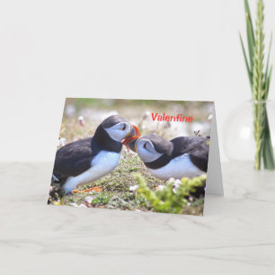 Kissing Puffins Card - Valentine
