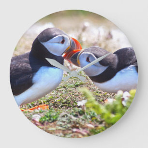Kissing Puffins Clock