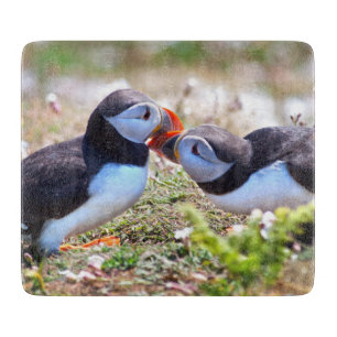 Kissing Puffins Glass Cutting Board