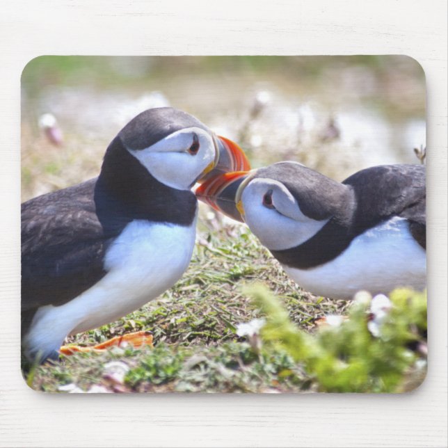 Kissing Puffins Mousemat (Front)