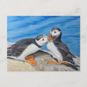 Kissing Puffins Postcard