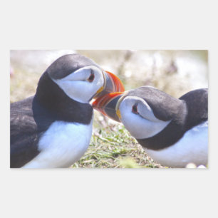 Kissing Puffins Sticker