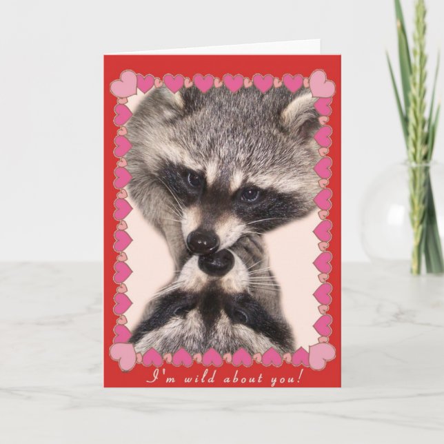Kissing Raccoons Holiday Card (Front)