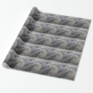Kissing River Otters Wrapping Paper
